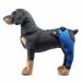 Pet Dog Knee Brace ACL Brace for Dogs Rear Leg Dog Braces for Back Leg for Support for Heals Prevents Injuries Sprains Blue Large Large Blue