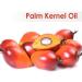 Buy 100% Pure Plum Kernel Oil (500 ML) - Natural Carrier Oil for Skin & Hair | Aromatherapy & Therapeutic Grade - Buy Online on GoSupps.com