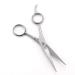 Lurrose Stainless Steel Beard Scissors for Facial Hair, Mustache, Eyebrow & Nose Hair - Hair Cutting and Hairdressing Shears - Buy Online on GoSupps.com