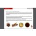 Korean Red Ginseng Extract 6-Year Energy Boost - 300ml - Buy Online on GoSupps.com