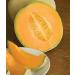 35 Hales Best Jumbo Cantaluupe 2018 (All Non-ogm semi-cimel Vegetable!)