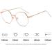 Voolga Classic Retro Blue Light Filter Glasses | Stylish Polygon Fashion Frames for Men & Women | Anti-Glare Computer Glasses with Rose Gold Metal Legs - Buy Online on GoSupps.com