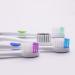 Clypolly Panda Kids Toothbrush Pack of 12 - Soft Bristle Child-Sized Brush Heads with Animal Suction Cup for Toddlers 3-12 Years - Fun & Easy Storage - Buy Online on GoSupps.com