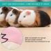Small Pet Elizabeth Collar Protective Circle Nursing Ring Lightweight Elizabethan Collar for Guinea Pigs and Rabbits Pink - Buy Online on GoSupps.com