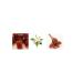 BCBGMAXAZRIA - Classic 4 Piece Fragrance Giftset for Women - (3.4oz/100ml EDP Perfume + 3.4oz/100ml Body Lotion + 3.4oz/100ml Shower Gel + 10ml EDP Rollerball) Floral 3.4 Fl Oz (Pack of 1) - Buy Online on GoSupps.com