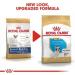 Royal Canin French Bulldog Puppy Dry Food 10kg - Buy Online on GoSupps.com