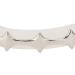Irregular Hip Hop False Tooth Set Halloween Festival Hip Hop Tooth Decoration Accessory (Silver Color) - Buy Online on GoSupps.com