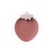 HLDMUXBF Snack Tray Living Room Tray Melon Seeds Cute Candy Tray Household Dried Fruit Tray Coffee Table Plastic Simple Creative Fruit Tray(Red_A)