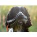 Firedog Food Dummy with Real Rabbit Fur - Waterproof Snack Dummy with Zipper for International Shipping - Buy Online on GoSupps.com