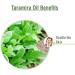 Taramira Oil 100% Natural - Pure Undiluted Essential Oil for Skin & Hair | International Shipping - Buy Online on GoSupps.com