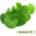 BRAHMI Oil - 100% Natural Pure Undiluted Unpolished Oil for Hair & Skin | International Shipping Available - Buy Online on GoSupps.com
