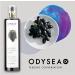 Odysea Balsamic Vinegar Spray 250ml - Authentic Italian Flavor in Convenient Spray Bottle - Buy Online on GoSupps.com