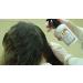 Non-Toxic Natural Head Lice Treatment Spray - Kills Lice & Eggs - 8 oz - Buy Online on GoSupps.com