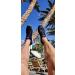 Ritiriko Quick-Dry Water Shoes for Men & Kids - Slip-Proof Aqua Surf Shoes in Black & White - Perfect for Beach & Swimming - Buy Online on GoSupps.com