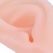 Professional Human Ear Model - Durable & Waterproof for Ear Impression Exercises - Buy Online on GoSupps.com