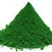 Preema Green Food Colour Powder (25g X 2) | Green Food Colour Powder | Used in baking and icing sugar | Can also be used in cooking - Buy Online on GoSupps.com
