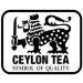 CENVEL Pure Green Tea Loose Leaf | 100% Natural and Fresh Harvest | Detox Loose Leaves Tea | Ceylon Green Tea | Single Estate Tea (500g) - Buy Online on GoSupps.com