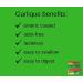 Garlique Caplets 60 Tablets - Pack of 4 | Garlic Supplement for Cardiovascular Health - Buy Online on GoSupps.com