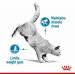 Royal Canin Light Weight Care in Jelly Adult Wet Cat Food 85g (Pack of 48) - Buy Online on GoSupps.com