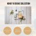 Scottish Fine Soaps | Honey B Hand Care Duo | Hand Scrub and Hand & Nail Cream Set with Acacia Honey - Buy Online on GoSupps.com