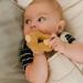 Oli & Carol Baby Teething Ring - Natural Rubber Paco the Peanut | 8 cm | Eco-Friendly & Safe for Infants - Buy Online on GoSupps.com