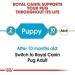 Royal Canin Pug Puppy Complete Dry Dog Food 1.5kg - Buy Online on GoSupps.com