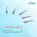 10x P1 Dental Equipment Tip: High-Quality Accessory for Precision Care - Buy Online on GoSupps.com