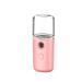 USB Mini Portable Facial Sprayer Humidifier Nano Face Steamer - Pink - Buy Online on GoSupps.com