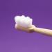 Toni Fresh Travel Set - Eco-Friendly Bamboo Toothbrush (White) | International Shipping Available - Buy Online on GoSupps.com