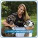 Tough Shield Silver Liquid Bandage for Pets Dogs Cats Birds Small Animals Woman Owned Small Business - Buy Online on GoSupps.com