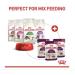 Royal Canin Sensory Smell in Jelly Wet Cat Food 85g (Pack of 48) - Buy Online on GoSupps.com