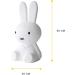 MR Maria Miffy Lamp S | Buy Internationally | Cute & Stylish Night Light - Buy Online on GoSupps.com