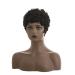 Short Jet Black Pixie Wig for Black Women - Synthetic Afro Kinky Haircut - Buy Online on GoSupps.com