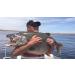 Kingforest 10pcs Spinnerbait Fishing Lures Kit for Bass Trout Salmon Walleye with Tackle Box - Buy Online on GoSupps.com