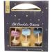 Cocoa Tree Hot Chocolate Stirrer - Savor the Sweetness - Buy Online on GoSupps.com