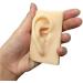 Artificial Human Pattern Silicone Ear - Silicone Simulation Ear for Micro Plastic Surgery Module Piercing Ear Piercing Teaching Demonstration - Buy Online on GoSupps.com