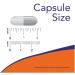 NOW Foods Ascorbyl Palmitate 500 mg - 100 vcaps - Buy Online on GoSupps.com