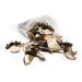 Premium Porcini Mushroom Dried from Italy - 200g/0.44lb/7.05oz - Buy Online on GoSupps.com