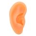 Ear Model Simulation Soft Silicone Professional Hearing Amplifier Display Teaching Ear Display Mould for Hearing Aid Earrings(Left)