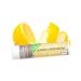 Soothing Touch Vegan Lip Balm Variety Pack - Grapefruit Lemon Cardamom Coconut Lavender Vanilla Chai - 4 Pack - Buy Online on GoSupps.com