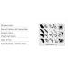 Alexnailart Nail Art Stamping Plate FA015 - Feathers Fashion Design Template - Buy Online on GoSupps.com