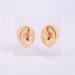 Silicone Ear Model for Acupuncture - Soft Silicone Ear Model for Teaching - 1 Pair Artificial Ear Model for Ear Picking Practice Studs Earring Display Props - Buy Online on GoSupps.com