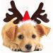 Buy BESTOYARD Pet Headband - Christmas Reindeer Antler with Santa Hat Costume for Dogs & Cats | Festive Holiday Accessories - Buy Online on GoSupps.com
