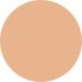 WYCON cosmetics Everyday Wear Liquid Concealer liquid with semimatte finish NW25 - Buy Online on GoSupps.com