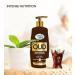 Cool & Cool Oud Body Lotion 500ml | Non-Greasy Paraben-Free Moisturizer | 12-Pack for Glowing Skin - Buy Online on GoSupps.com