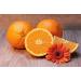 Buy Smell Moments Whirlpo Bolts Orange 500ml - International Shipping Available - Buy Online on GoSupps.com