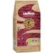 Lavazza Tierra Bio Planet Espresso Intenso 1Kg Coffee Beans - Organic Blend for Intense Flavor (Pack of 1) - Buy Online on GoSupps.com