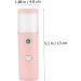 FRCOLOR Facial Humidifier Mini Humidifier Air Humidifier Nano Face Moisturizer Spray Moisture Cream - Buy Online on GoSupps.com