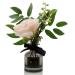 150ml Refillable Glass Diffuser Bottle - Aromatherapy Containers for Essential Oils DIY Fragrance Sticks & Handicraft Decoration (Gray) - Buy Online on GoSupps.com