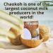 Chaokoh Coconut Milk 400ml - Pack of 12 | Premium Quality | Rich and Creamy | Pure and Natural | Premium Thai Coconut Milk  - Buy Online on GoSupps.com